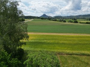 Aussicht Garten
