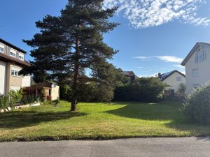 Auf diesem Grundstück entsteht Ihr neues Zuhause