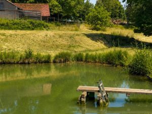 Impressionen - hofeigener Badesee